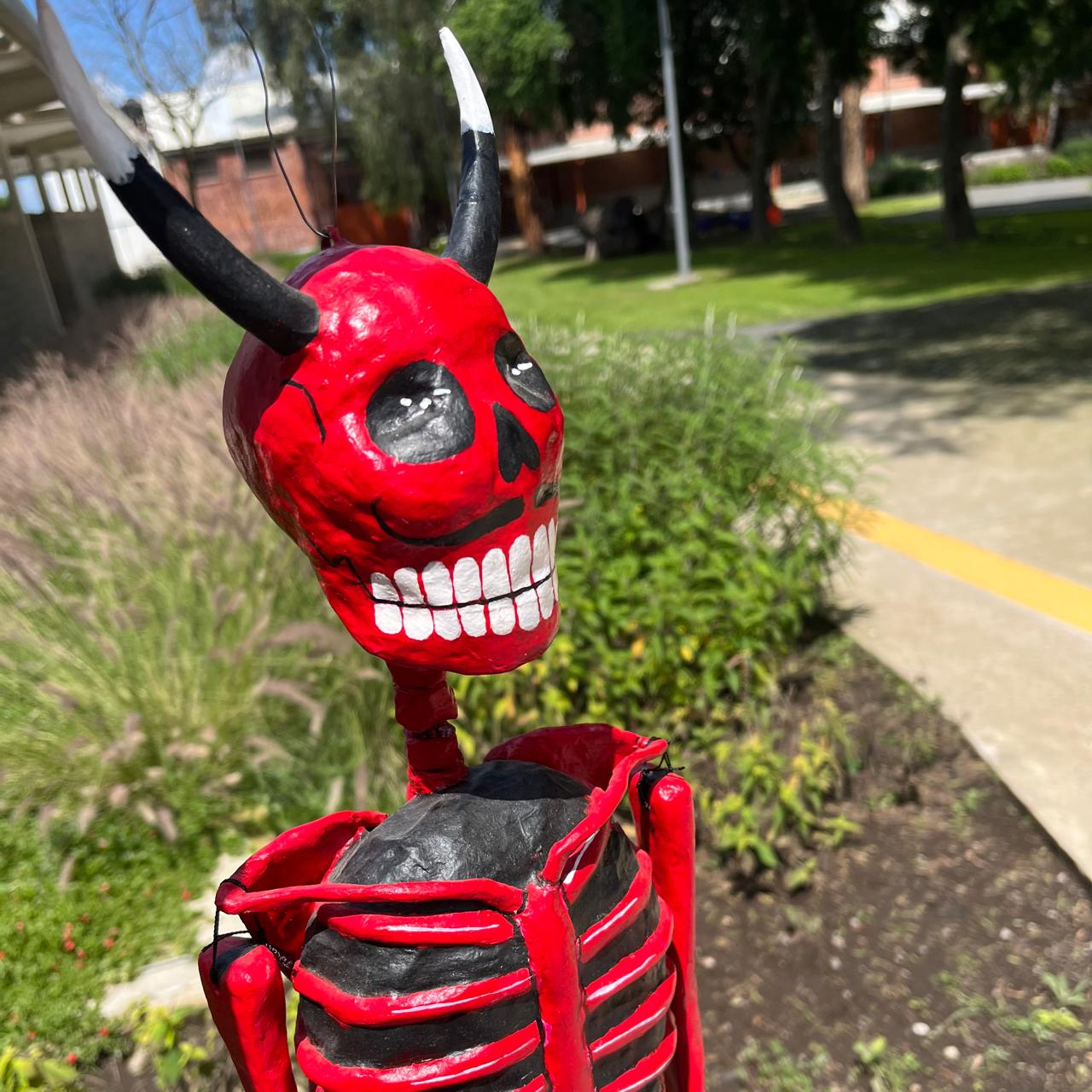 Actividad: Cartonería